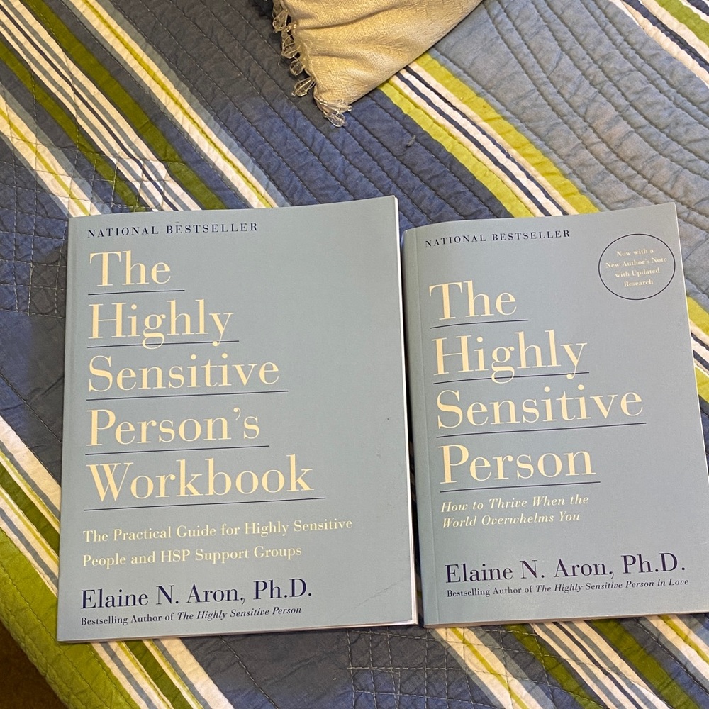 The Highly Sensitive Person's Workbook - Gray